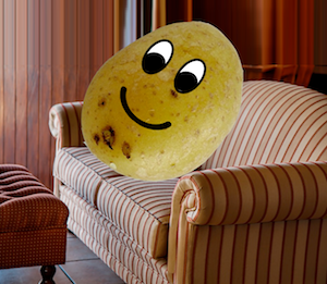 Are you sitting comfortably? Photo of couch potato