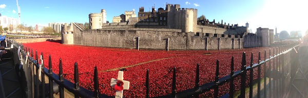 Why I'll remember the poppies - photo of poppies at the Tower Of London
