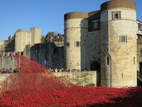 Lest we forget - why I'll remember the poppies - Photo of the poppies at the Tower of London