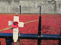 Lest we forget - why I'll remember the poppies. Photo of poppies at the Tower of London