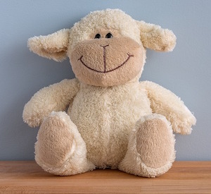 Serial Position makes studying easier - photo of cuddly toy